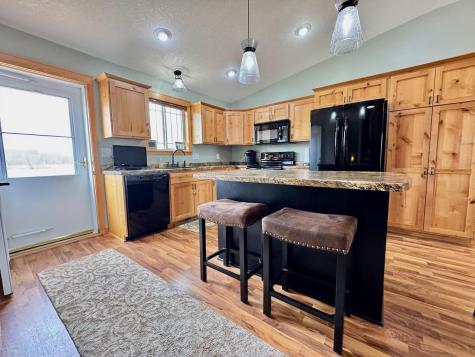 32406 Starland Shore Drive Dent MN 56528