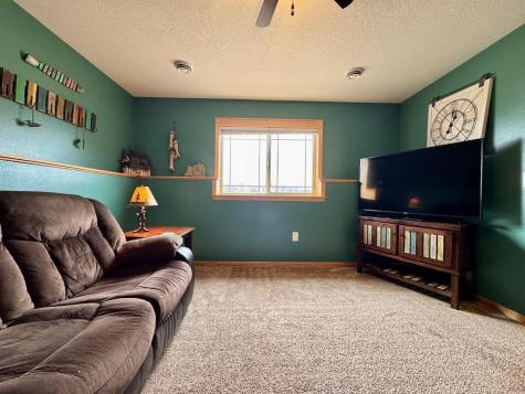 32406 Starland Shore Drive Dent MN 56528