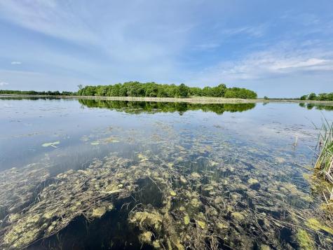 32406 Starland Shore Drive Dent MN 56528
