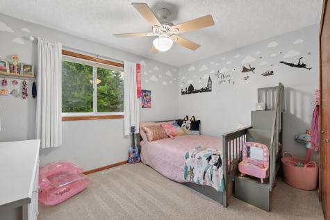 9115 Janero Avenue S Cottage Grove MN 55016