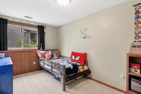 9115 Janero Avenue S Cottage Grove MN 55016
