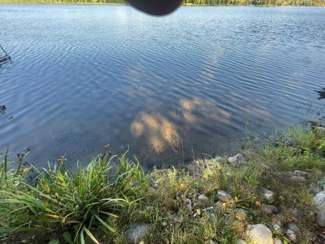 47304 Dallas Road Spring Lake MN 56680