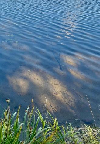 47304 Dallas Road Spring Lake MN 56680