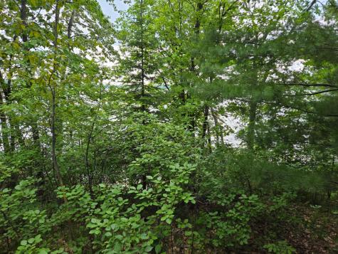 Tbd Andrusia Road SE Cass Lake MN 56633