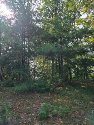 Tbd Andrusia Road SE Cass Lake MN 56633