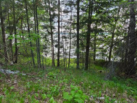 Tbd Andrusia Road SE Cass Lake MN 56633