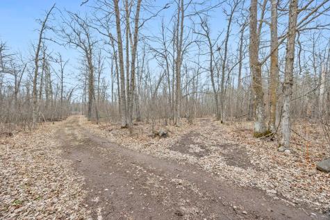 4996 Springbrook Trail Danbury WI 54830