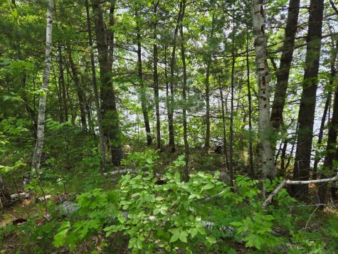 Tbd Andrusia Road SE Cass Lake MN 56633