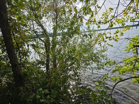 Tbd Andrusia Road SE Cass Lake MN 56633
