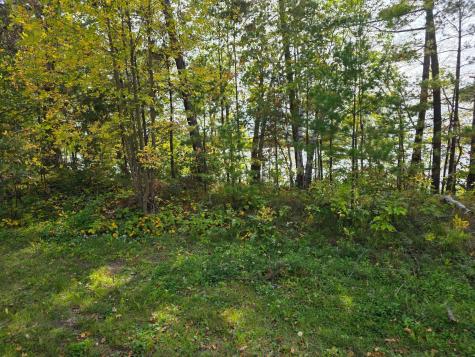 Tbd Andrusia Road SE Cass Lake MN 56633