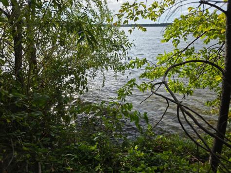 Tbd Andrusia Road SE Cass Lake MN 56633