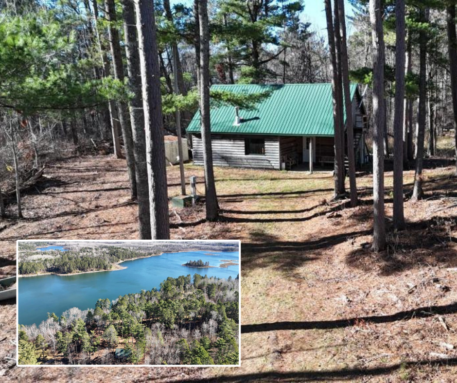 12745 Ecton Trail Bagley MN 56621