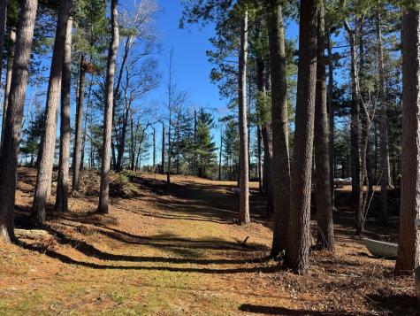 12745 Ecton Trail Bagley MN 56621
