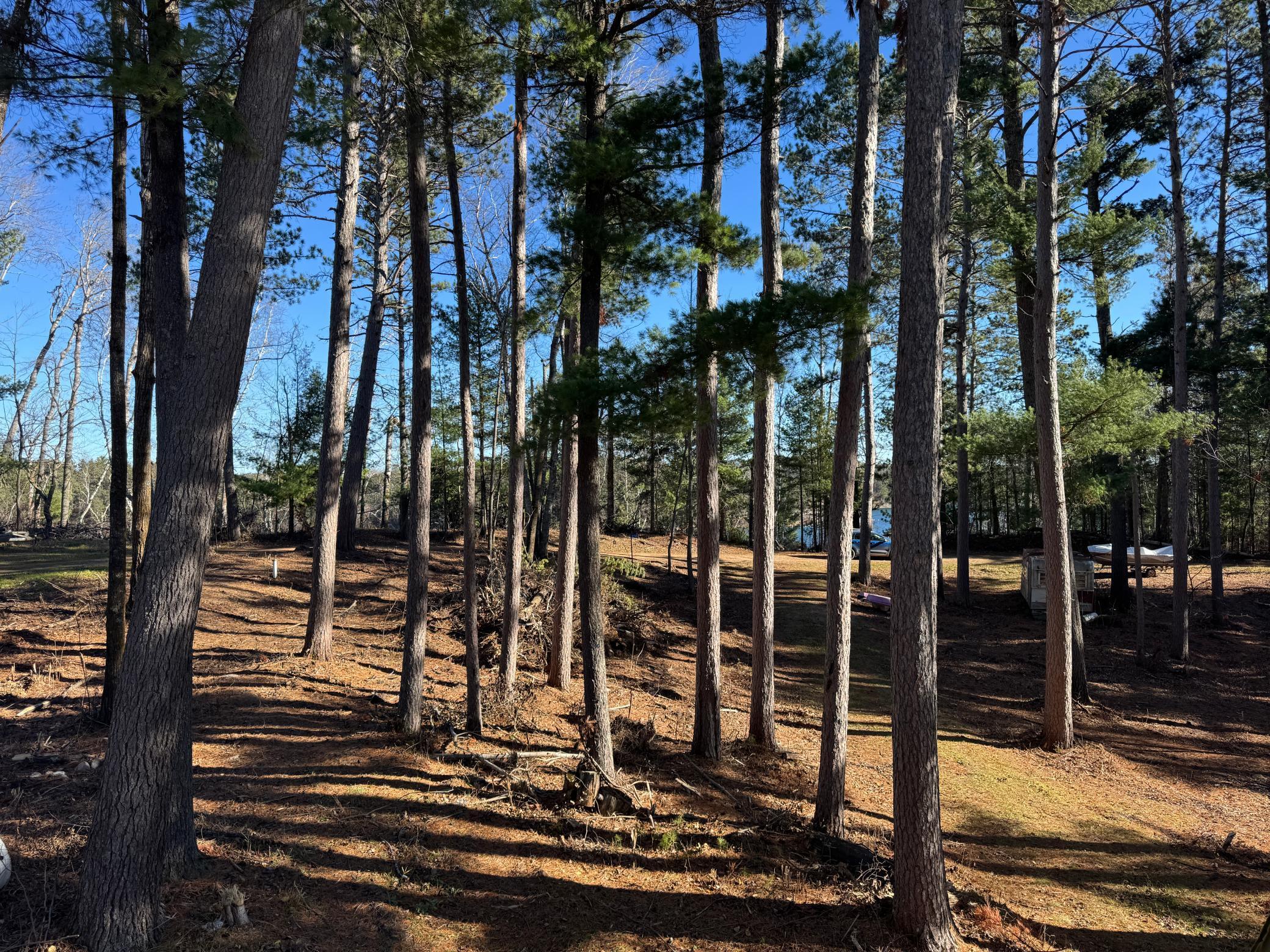 12745 Ecton Trail Bagley MN 56621