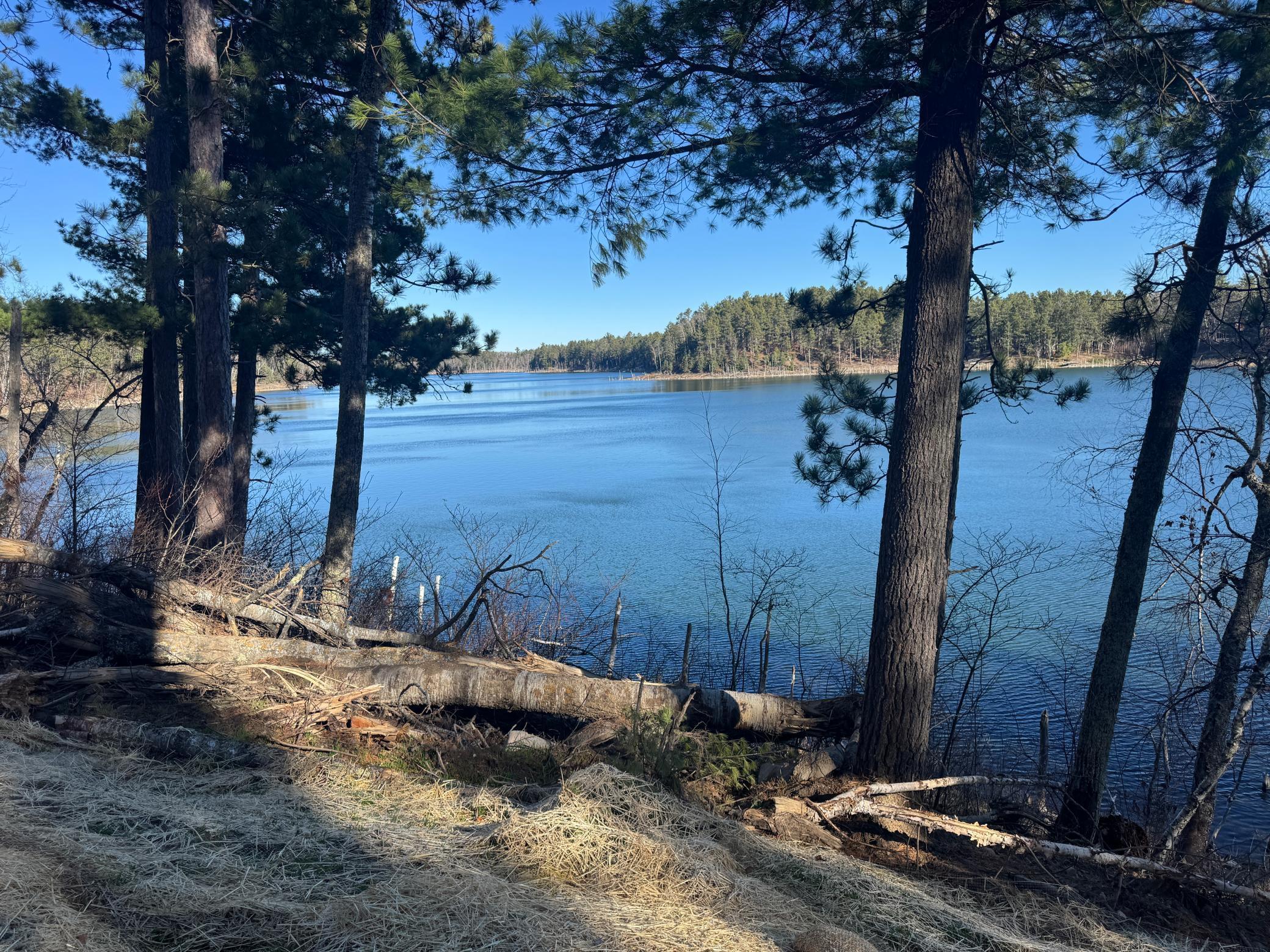 12745 Ecton Trail Bagley MN 56621