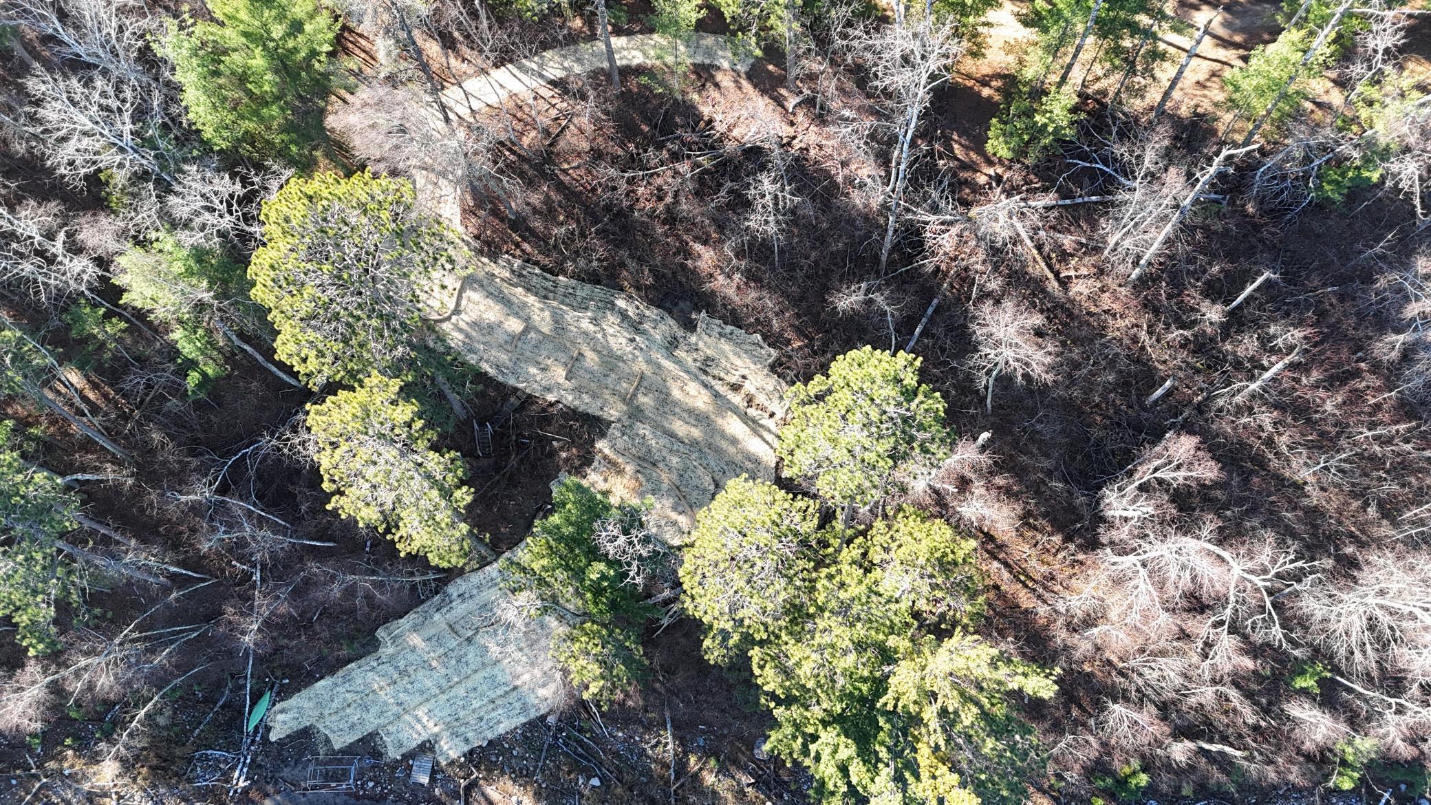 12745 Ecton Trail Bagley MN 56621