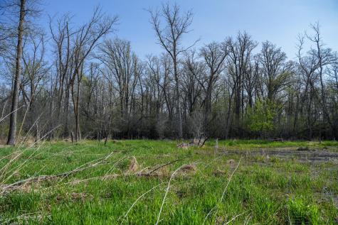 18156 420th Street SE Winger MN 56592