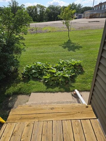 103 Saint Albans Street Lynd MN 56157
