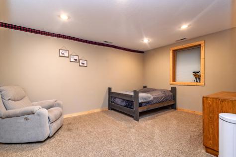 3005 W Lake Jessie Drive SE Alexandria Twp MN 56308