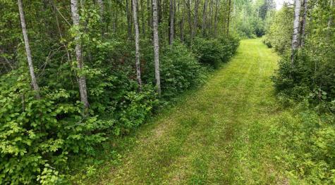 Tbd Tangnes Forest Road Roosevelt MN 56673
