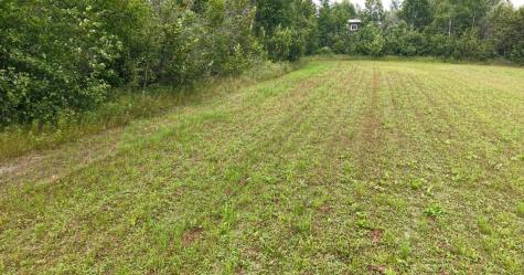 Tbd Tangnes Forest Road Roosevelt MN 56673