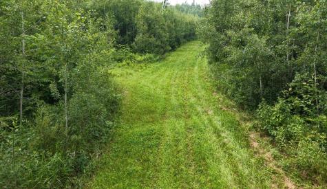 Tbd Tangnes Forest Road Roosevelt MN 56673