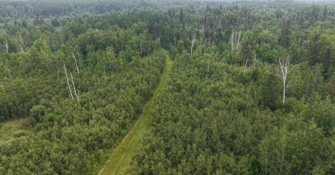 Tbd Tangnes Forest Road Roosevelt MN 56673