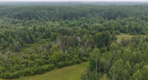 Tbd Tangnes Forest Road Roosevelt MN 56673