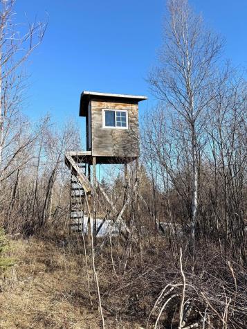 Tbd Tangnes Forest Road Roosevelt MN 56673