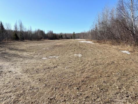 Tbd Tangnes Forest Road Roosevelt MN 56673