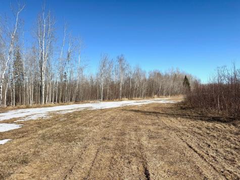Tbd Tangnes Forest Road Roosevelt MN 56673