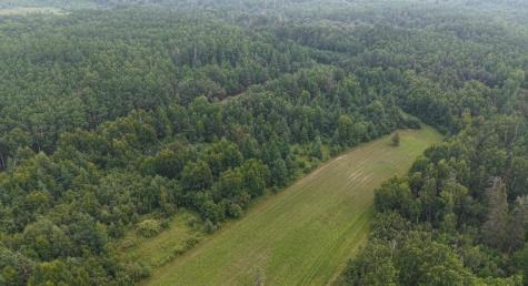 Tbd Tangnes Forest Road Roosevelt MN 56673