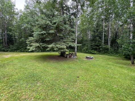 Tbd Tangnes Forest Road Roosevelt MN 56673