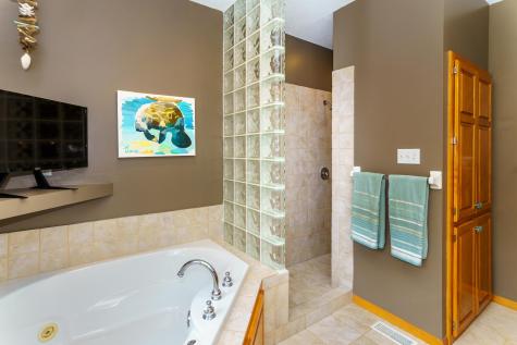 8551 Summit Oaks Bay Savage MN 55378