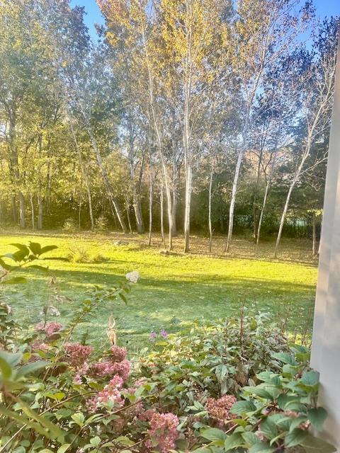 28806 111th Street NW Baldwin Twp MN 55398