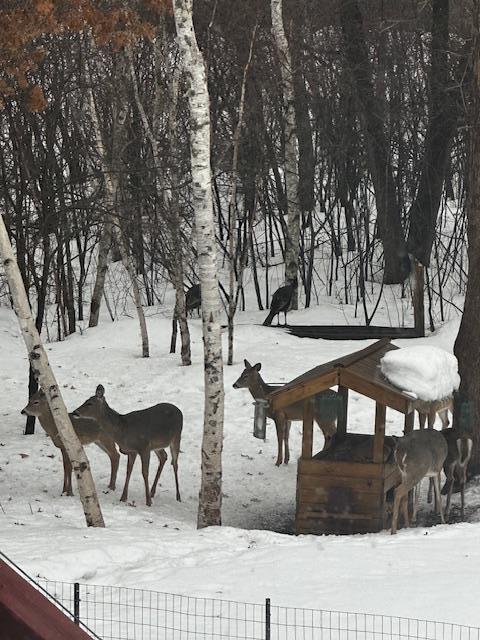 28806 111th Street NW Baldwin Twp MN 55398