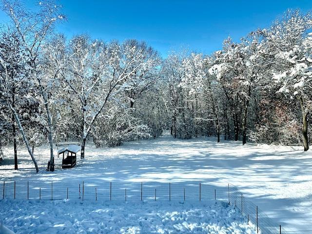 28806 111th Street NW Baldwin Twp MN 55398