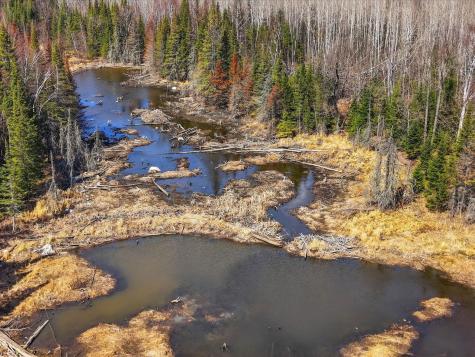 4359 Schweiger Road Orr MN 55771