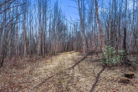 4359 Schweiger Road Orr MN 55771