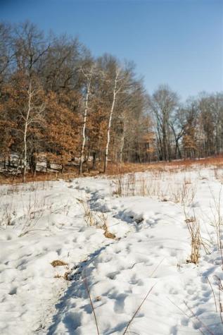 10984 Harvest Road Little Falls MN 56345