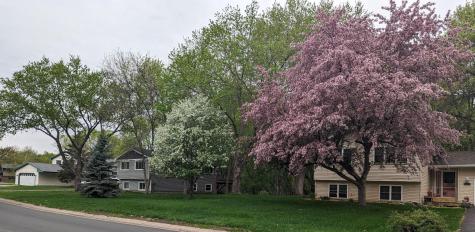 10962 Eagle Street NW Coon Rapids MN 55433