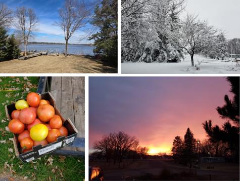 9900 W Lake Court Rice MN 56367