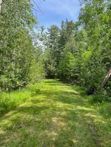 10547 Vermeil Drive NE Deer River MN 56636