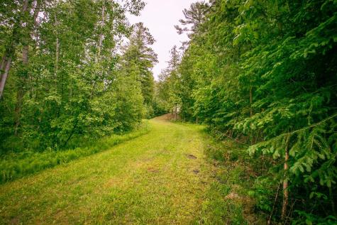 10547 Vermeil Drive NE Deer River MN 56636