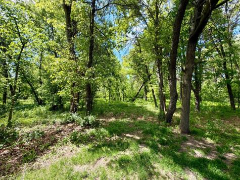 16260 Xenia Street NW Andover MN 55304