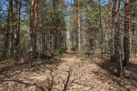 18438 246th Avenue NW Big Lake MN 55309