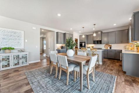 23649 Ashbury Drive Rogers MN 55374