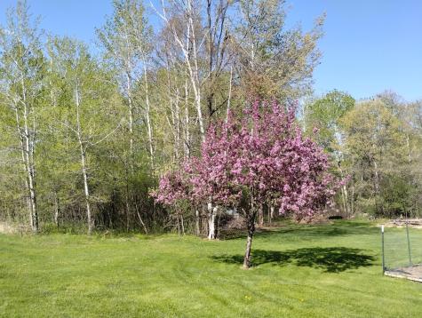 2303 230th Avenue Mora MN 55051