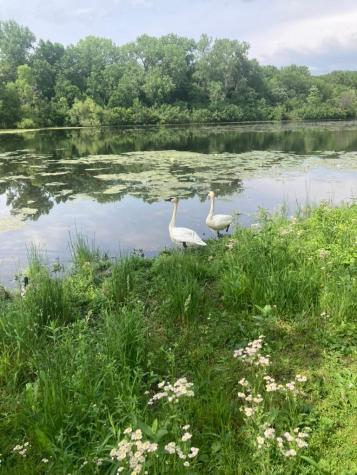 1407 Summit Shores Drive Burnsville MN 55306