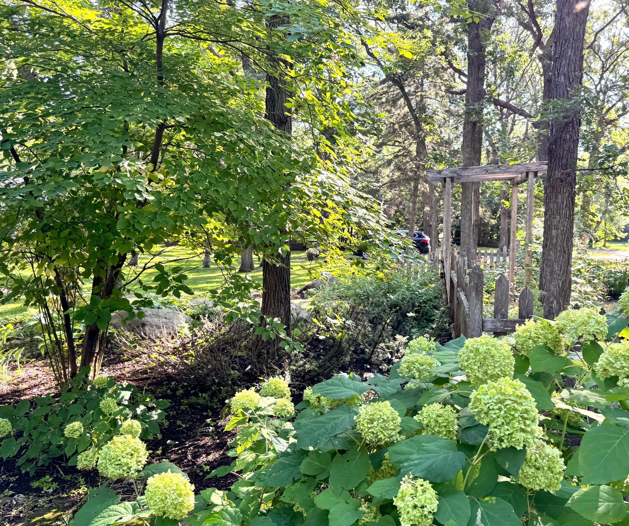 38675 Wagon Trail Loop Battle Lake MN 56515